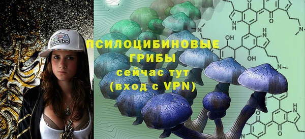 дурь Алзамай