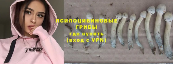 крисы Алексеевка