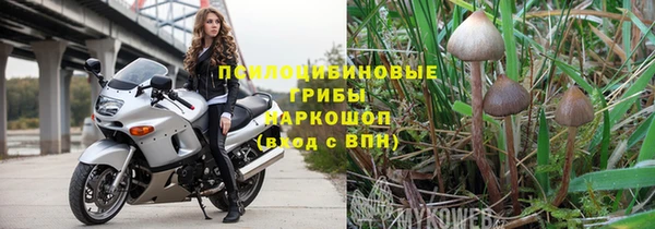 крисы Алексеевка